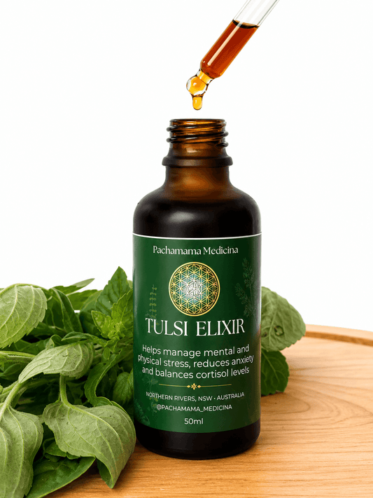 Tulsi Elixir by Pachamama Medicina, adaptogenic herbal tonic for stress and mental clarity, handcrafted in Northern Rivers NSW