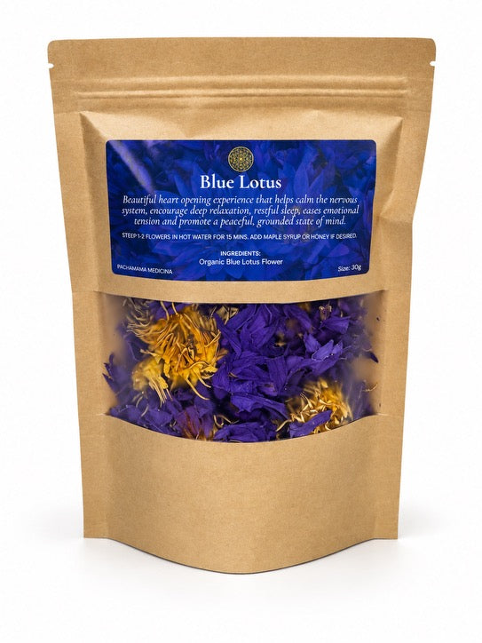 Dried blue lotus flowers (Nymphaea caerulea) for tea and relaxation rituals | Pachamama Medicina Northern Rivers NSW