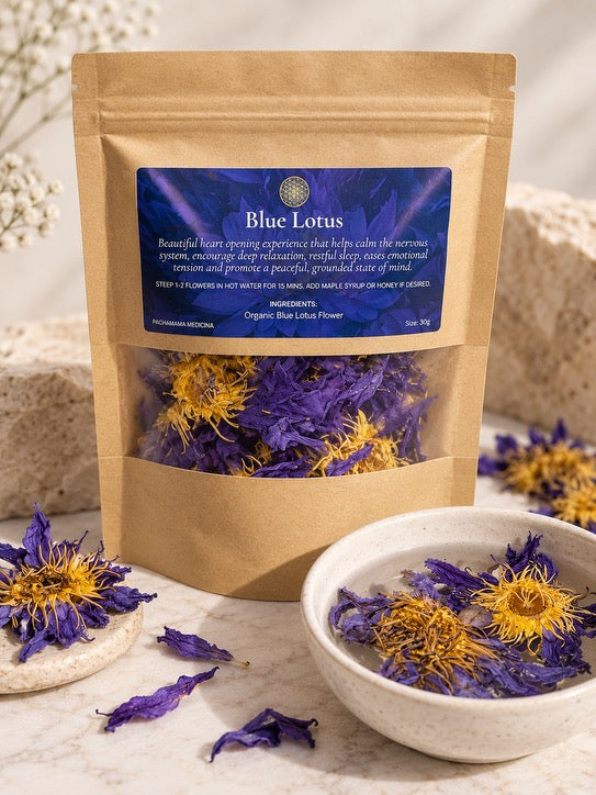 Blue lotus dried flower petals for herbal tea, meditation and ritual by Pachamama Medicina, Northern Rivers NSW Australia