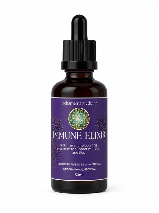 Elderberry Immune Elixir by Pachamama Medicina, herbal immune support tonic handcrafted in Northern Rivers NSW