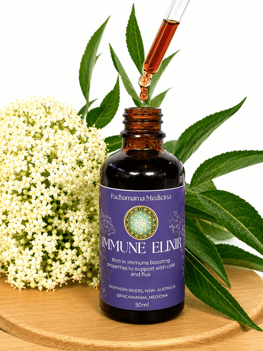 Pachamama Medicina Elderberry Immune Elixir bottle, natural antioxidant immune tonic made in Australia