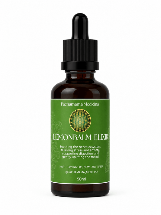 Lemon Balm Calm Elixir by Pachamama Medicina, herbal nervous system support tonic handcrafted in Northern Rivers NSW