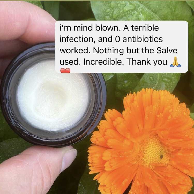 Calendula Healing Salve