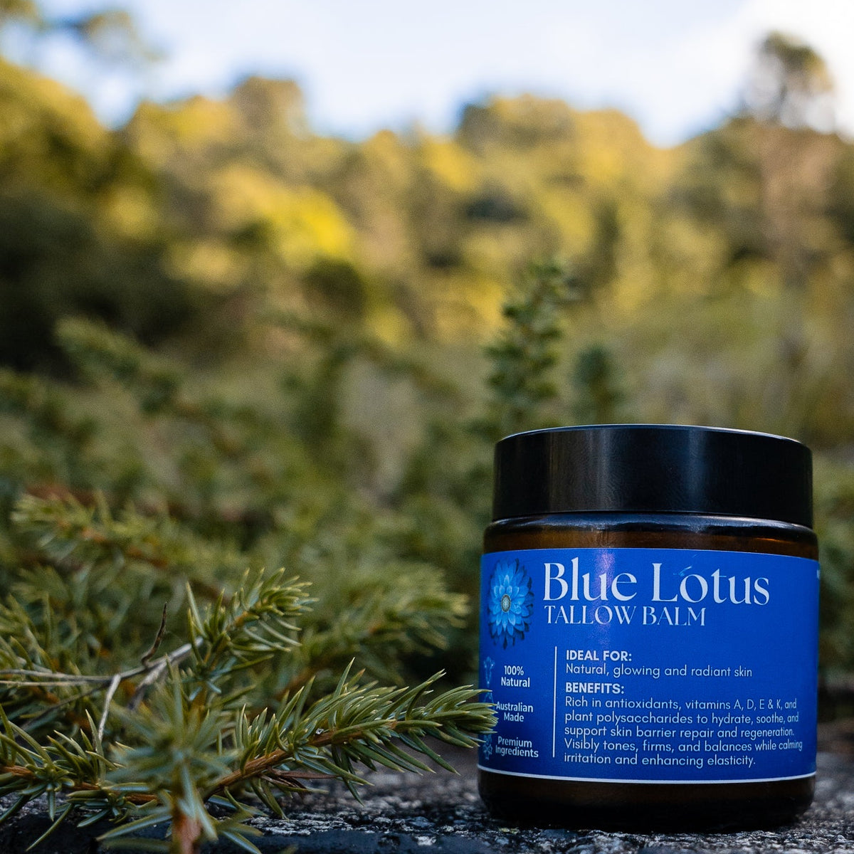 Blue Lotus Tallow - natural anti aging skin care